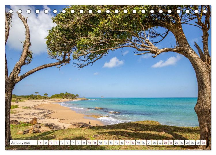 Produktbild: Beaches of the world (Desk Calendar 2026 DIN A5 landscape), CALVENDO 12 Month DeskCalendar