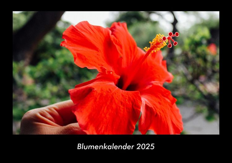Produktbild: Blumenkalender 2025 Fotokalender DIN A3