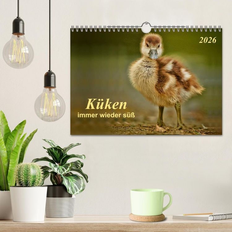 Produktbild: K&uuml;ken - immer wieder s&uuml;&szlig; (Wandkalender 2026 DIN A4 quer), CALVENDO Monatskalender