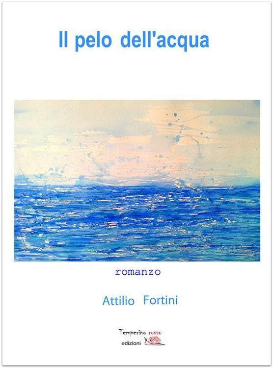 Produktbild: Il pelo dell'acqua