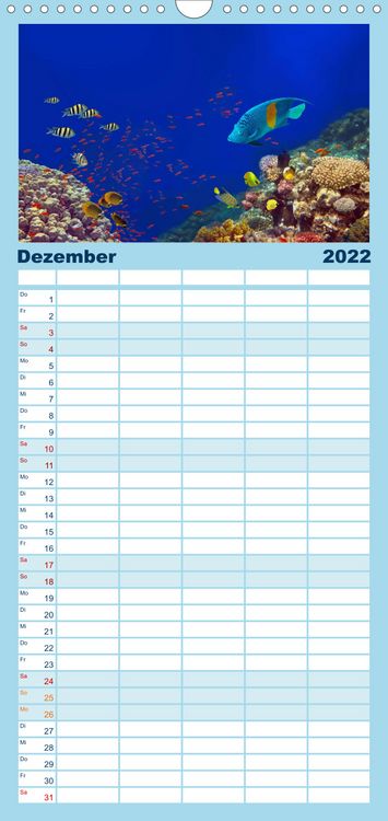 Produktbild: Riffleben - Einfach mal abtauchen - Familienplaner hoch (Wandkalender 2022 , 21 cm x 45 cm, hoch)