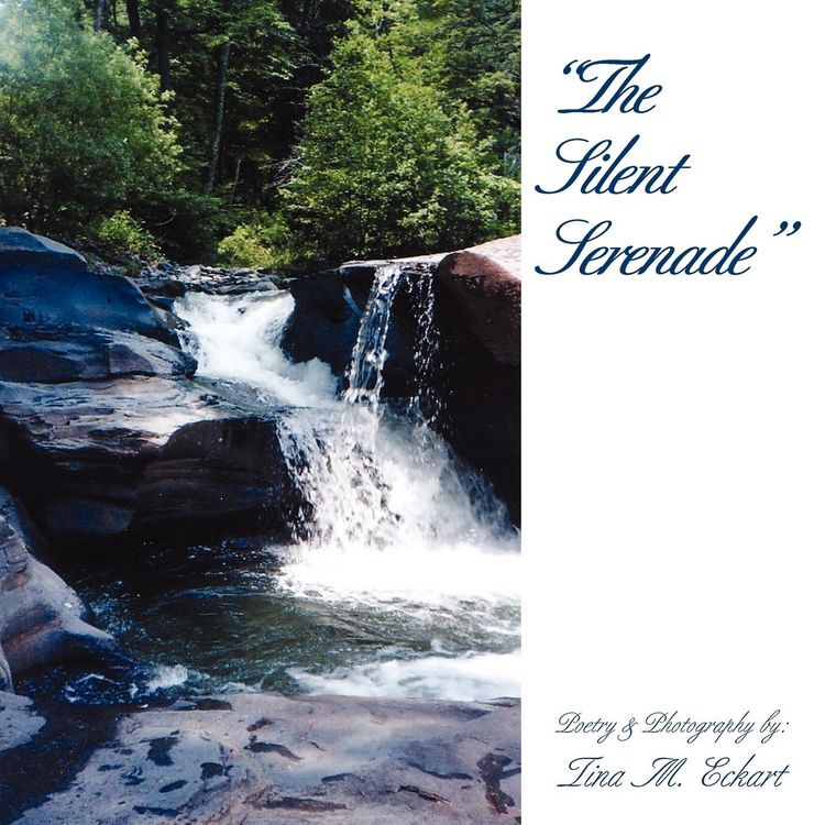 Produktbild: The Silent Serenade