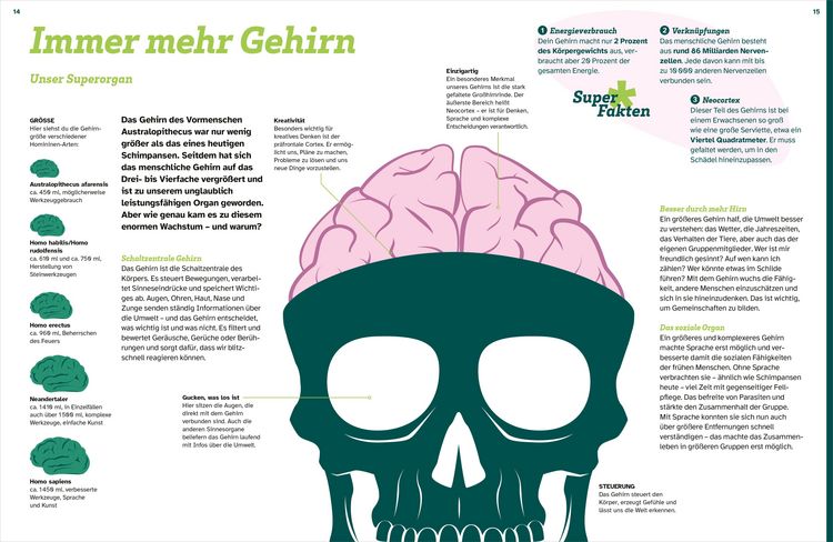 Produktbild: WAS IST WAS Der Mensch. Von der Steinzeit bis zu dir
