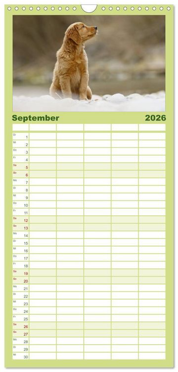 Produktbild: Familienplaner 2026 - Chesley Kleiner Hund grosse Abenteuer mit 5 Spalten (Wandkalender, 21 x 45 cm) CALVENDO