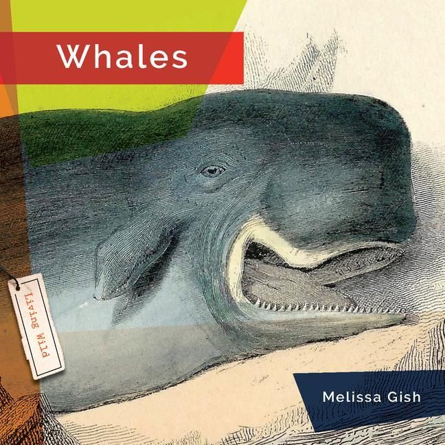 Produktbild: Whales