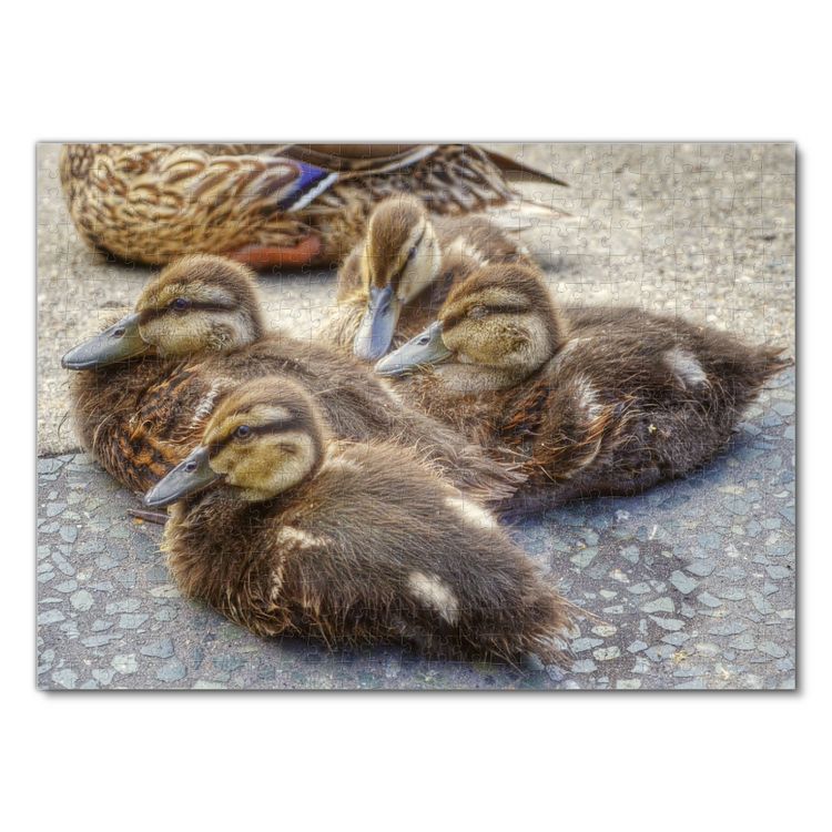 Produktbild: Lais Puzzle Enten 500 Teile