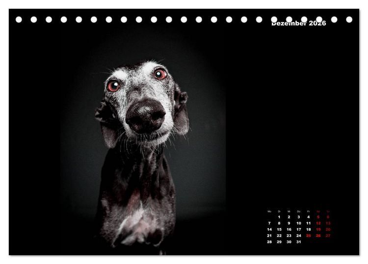 Produktbild: Die Stimme der Windhunde (Tischkalender 2026 DIN A5 quer), CALVENDO Monatskalender