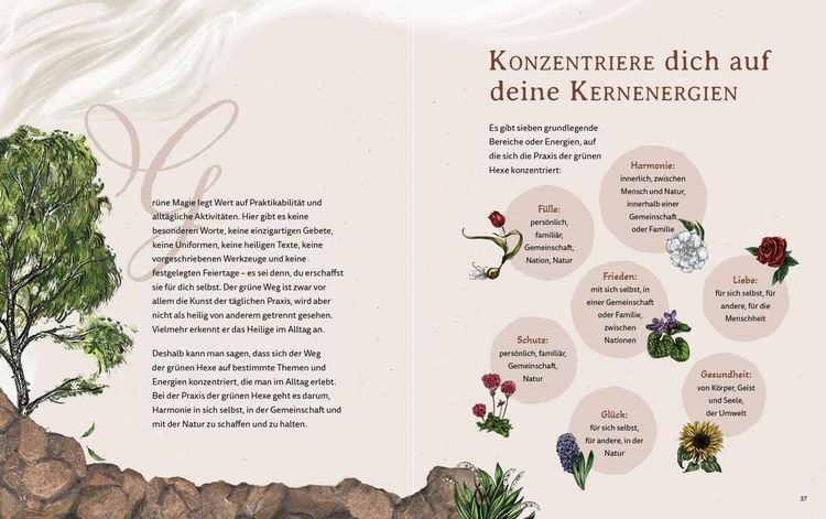 Produktbild: Gr&uuml;ne Magie - eine illustrierte Reise