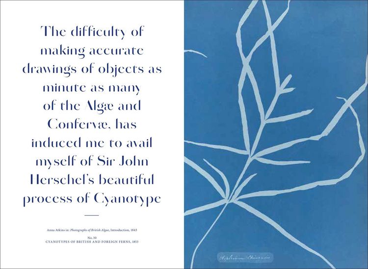 Produktbild: Anna Atkins