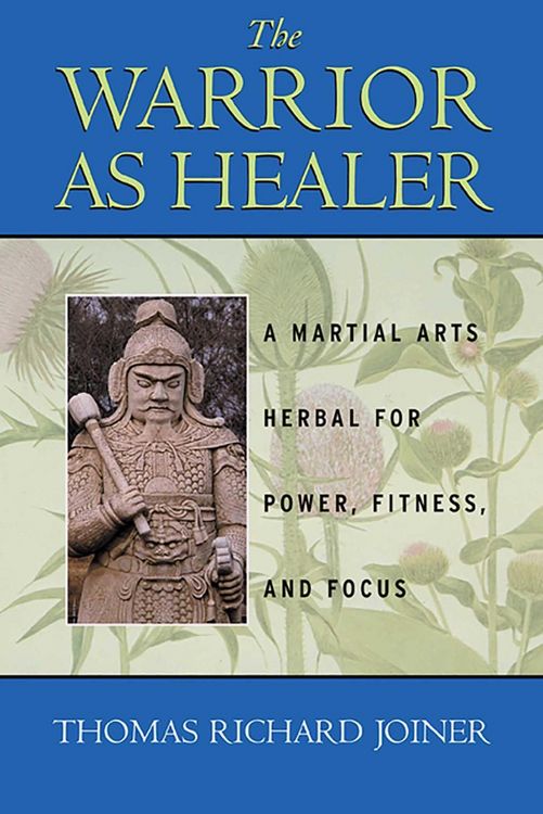 Produktbild: The Warrior As Healer