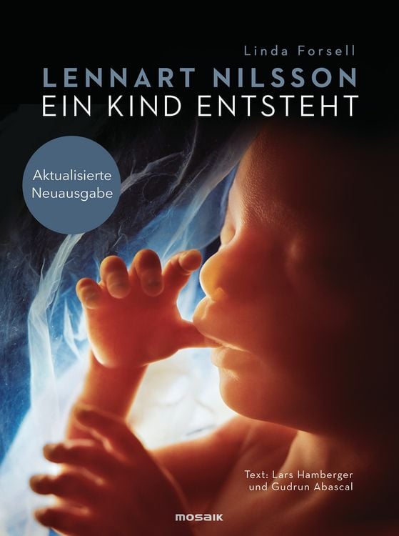 Produktbild: Ein Kind entsteht