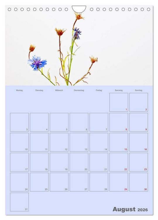 Produktbild: Blumenmetamorphosen (Wandkalender 2026 DIN A4 hoch), CALVENDO Monatskalender
