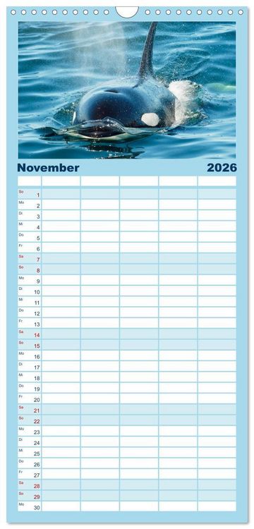 Produktbild: Familienplaner 2026 - Orcas: Schwarz-wei&szlig;e Giganten mit 5 Spalten (Wandkalender, 21 x 45 cm) CALVENDO