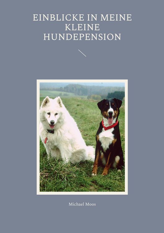 Produktbild: Einblicke in meine kleine Hundepension