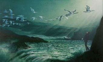 Produktbild: Die wunderbare Reise des Nils Holgersson mit den Wildg&auml;nsen