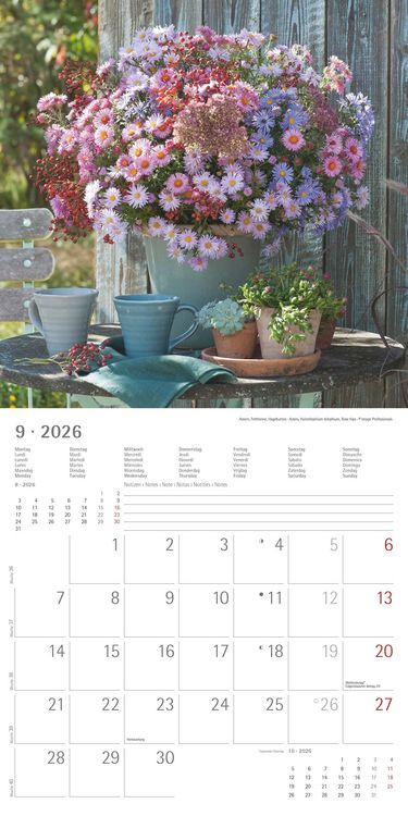 Produktbild: Alpha Edition - Blumenträume 2026 Broschürenkalender, 30x30cm, Wandkalender mit Platz für Notizen und Termine, hochwertige Bildmotive, Mondphasen, Mon