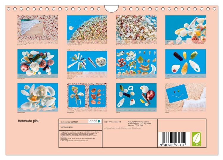 Produktbild: bermuda pink (Wall Calendar 2026 DIN A4 landscape), CALVENDO 12 Month Wall Calendar
