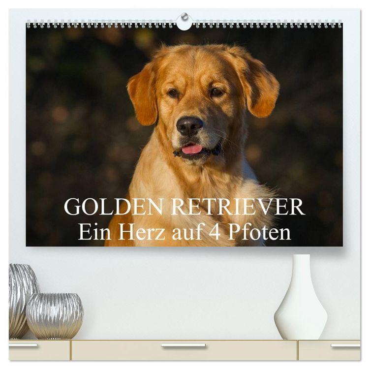 Produktbild: Golden Retriever - Ein Herz auf 4 Pfoten (hochwertiger Premium Wandkalender 2026 DIN A2 quer), Kunstdruck in Hochglanz