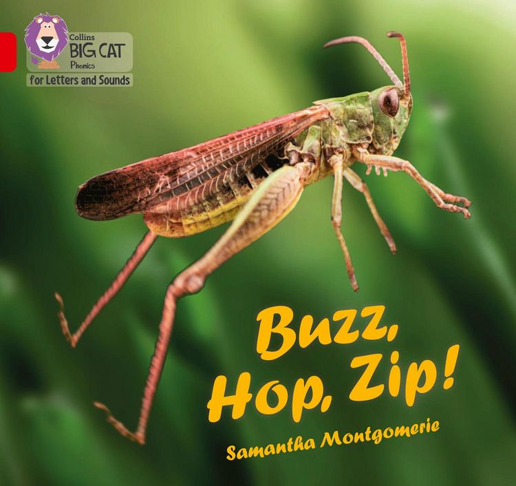 Produktbild: Buzz, Hop, Zip!