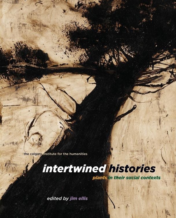 Produktbild: Intertwined Histories