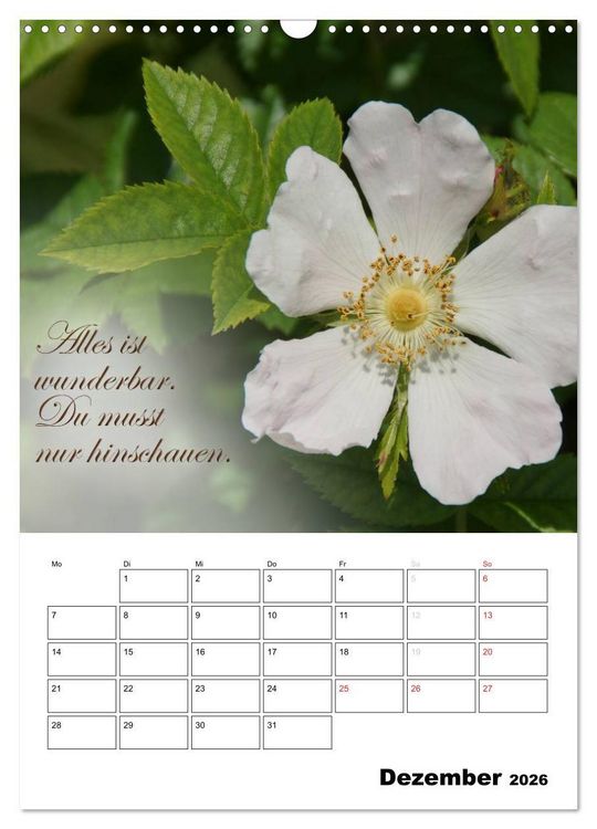 Produktbild: Sch&ouml;ne Spr&uuml;che f&uuml;r Dein ganzes Jahr (Wandkalender 2026 DIN A3 hoch), CALVENDO Monatskalender