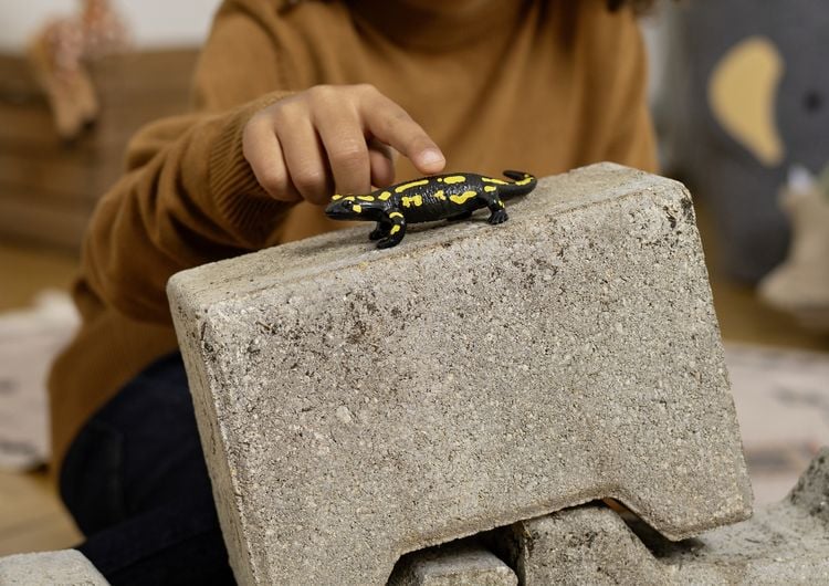 Produktbild: schleich&reg; Wild Life Feuersalamander 2,5cm