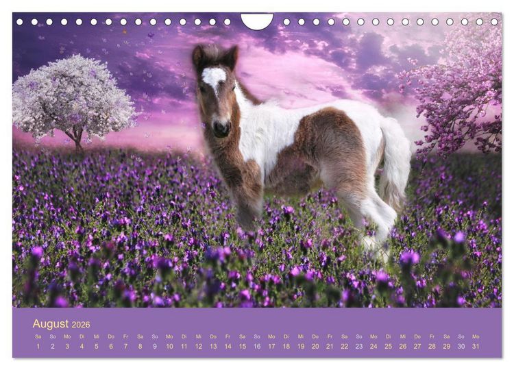Produktbild: Von der Magie der Pferde (Wandkalender 2026 DIN A4 quer), CALVENDO Monatskalender