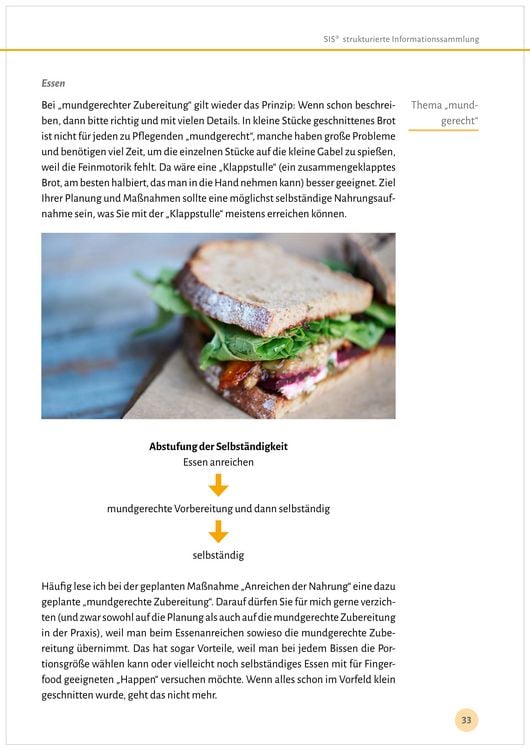Produktbild: Pflegeplanung im Strukturmodell