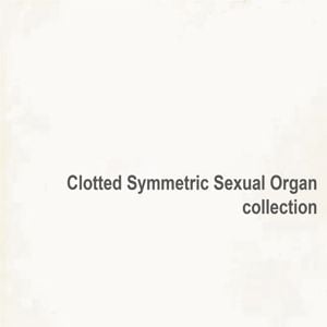 Produktbild: collection (2LP)
