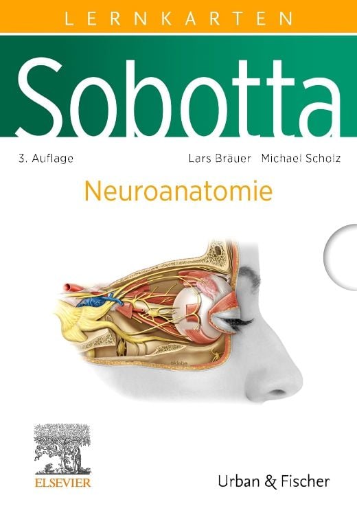Produktbild: Sobotta Lernkarten Neuroanatomie