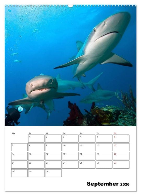 Produktbild: Zauberwelt. Fische, Korallen und Co. (Wandkalender 2026 DIN A2 hoch), CALVENDO Monatskalender