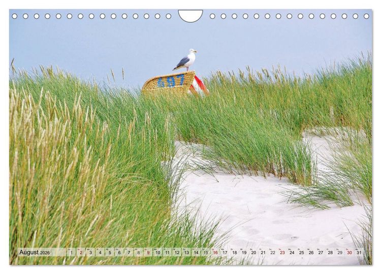 Produktbild: Typisch Amrum! (Wandkalender 2026 DIN A4 quer), CALVENDO Monatskalender