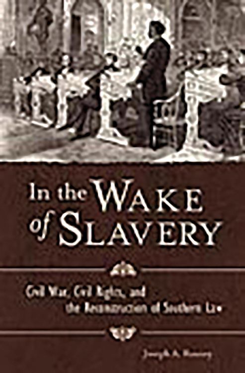 Produktbild: In the Wake of Slavery