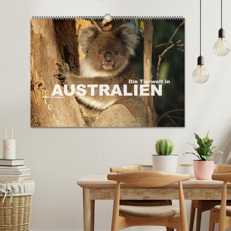 Produktbild: Die Tierwelt in Australien (Wandkalender 2026 DIN A2 quer), CALVENDO Monatskalender