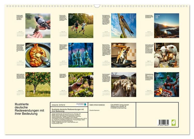 Produktbild: Illustrierte deutsche Redewendungen mit ihrer Bedeutung (Wandkalender 2026 DIN A2 quer), CALVENDO Monatskalender