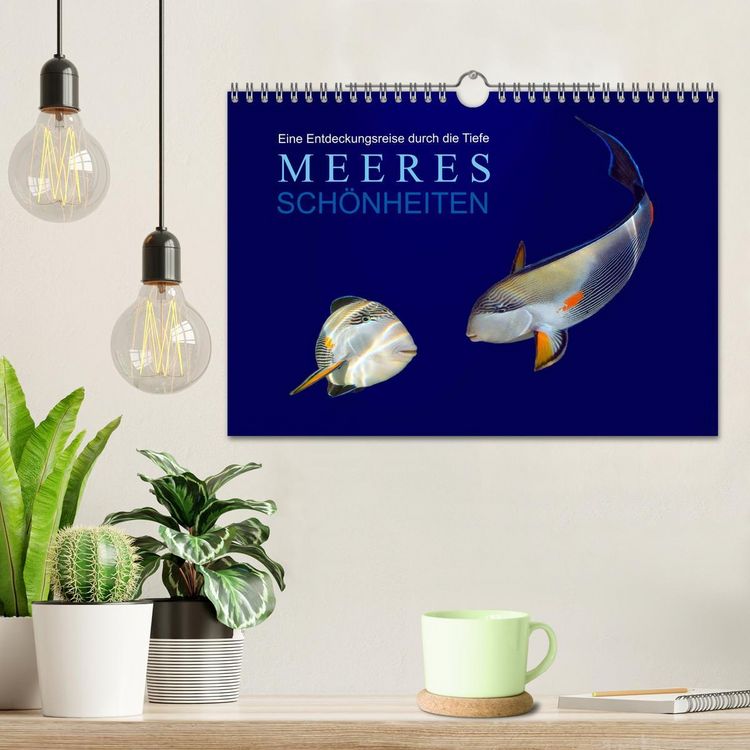 Produktbild: Meeres Sch&ouml;nheiten (Wandkalender 2026 DIN A4 quer), CALVENDO Monatskalender