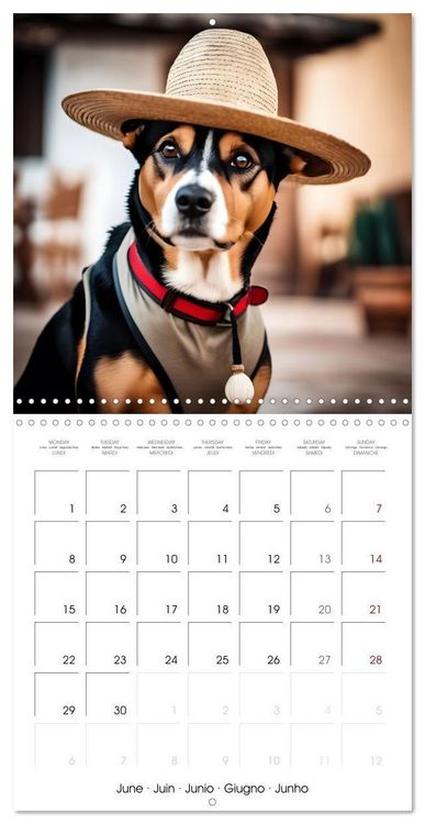 Produktbild: Kleemann, C: Dogs with matching hats (Wall Calendar 2026 12