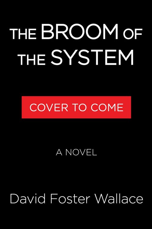 Produktbild: The Broom of the System