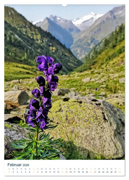 Produktbild: Sommer in &Ouml;sterreich - sonnige Tage in den Bergen (Wandkalender 2026 DIN A2 hoch), CALVENDO Monatskalender