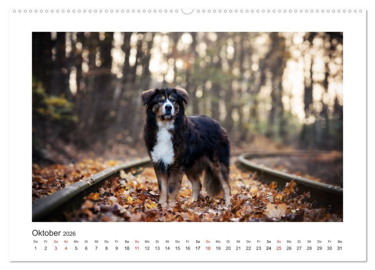 Produktbild: Herzenshunde 2026 (hochwertiger Premium Wandkalender 2026 DIN A2 quer), Kunstdruck in Hochglanz