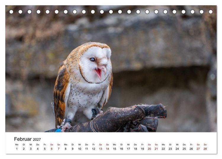 Produktbild: Greifv&ouml;gel in Aktion - Dynamische Flugbilder und Portr&auml;ts (Tischkalender 2027 DIN A5 quer), CALVENDO Monatskalender