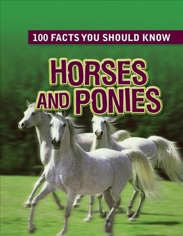 Produktbild: Horses & Ponies