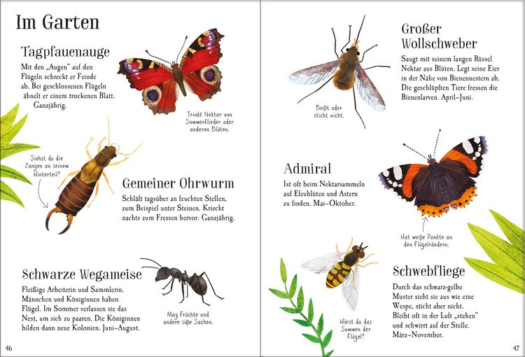 Produktbild: Mein Usborne-Naturf&uuml;hrer