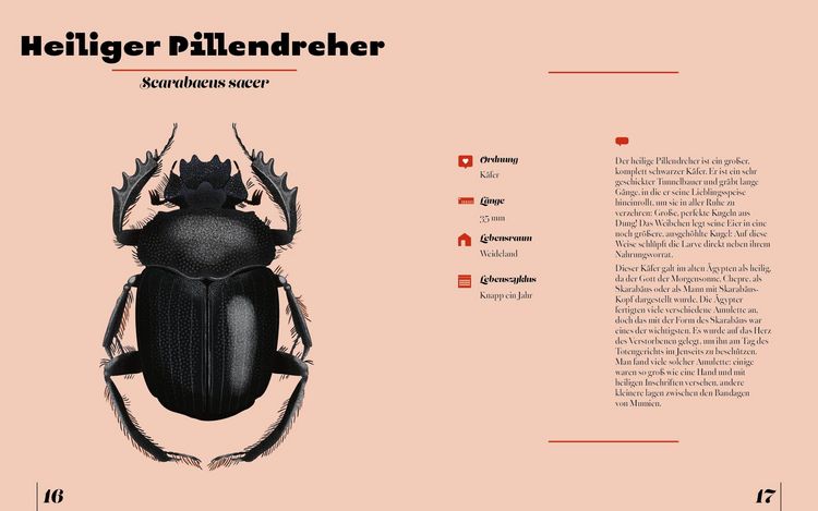 Produktbild: Insekten & Krabbeltiere