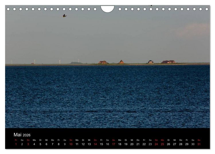 Produktbild: Pellworm 2026 (Wandkalender 2026 DIN A4 quer), CALVENDO Monatskalender