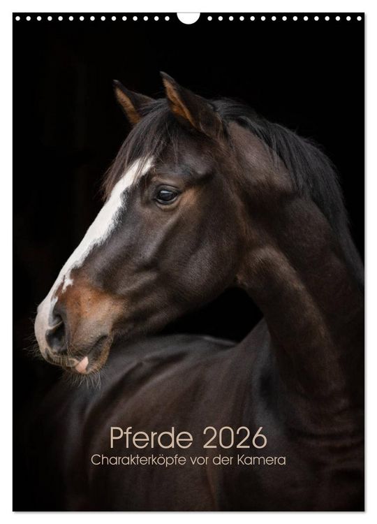 Produktbild: Pferde 2026 - Charakterk&ouml;pfe vor der Kamera (Wandkalender 2026 DIN A3 hoch), CALVENDO Monatskalender