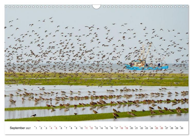 Produktbild: Pellwormer Ogenblicke, ein Streifzug durch ein Inseljahr (Wandkalender 2027 DIN A3 quer), CALVENDO Monatskalender