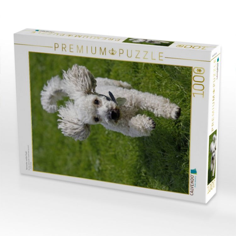 Produktbild: CALVENDO Puzzle Rennender, wei&szlig;er Pudel | 1000 Teile Lege-Gr&ouml;&szlig;e 64x48cm Foto-Puzzle f&uuml;r gl&uuml;ckliche Stunden