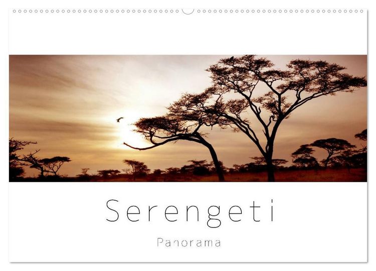 Produktbild: Serengeti Panorama (Wandkalender 2027 DIN A2 quer), CALVENDO Monatskalender