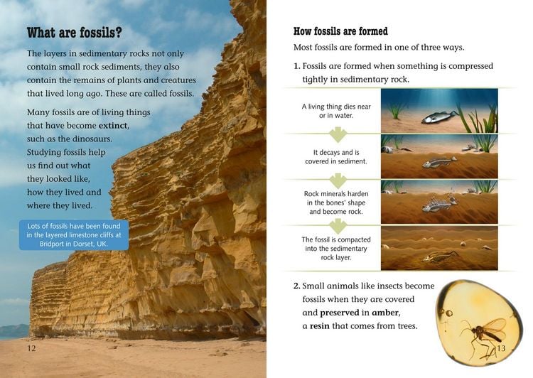 Produktbild: A Finders' Guide to Rocks, Fossils and Soils